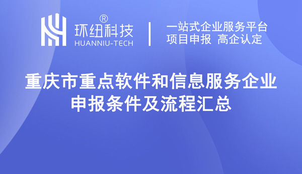 重点软件企业申报