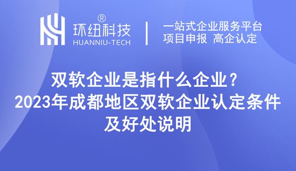 双软企业是指什么企业