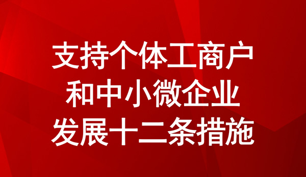 支持个体工商户和中小微企业发展十二条措施