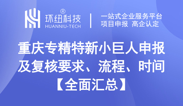 重庆专精特新小巨人申报及复核