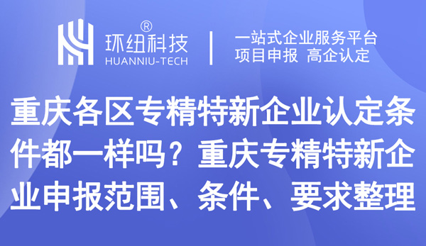 重庆各区专精特新企业认定