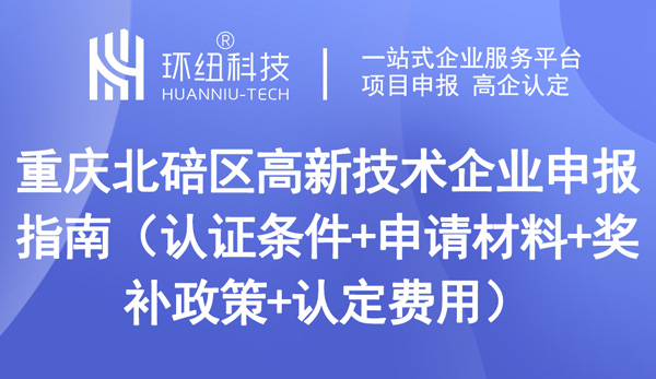 重庆北碚区高新技术企业申报