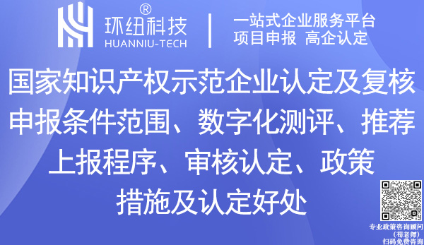 国家知识产权示范企业认定复核指南