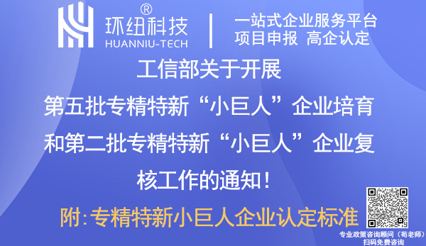 专精特新小巨人企业培育及复核