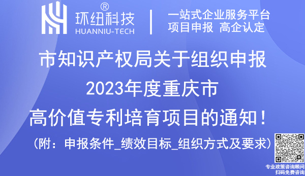 重庆市高价值专利培育项目申报