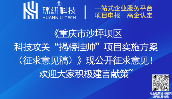 重庆市沙坪坝区科技攻关揭榜挂帅项目实施方案(征求意见稿)