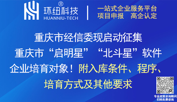 重庆市启明星北斗星软件企业培育入库申报