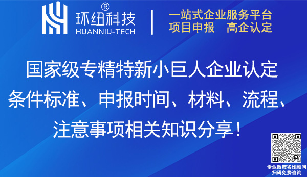 国家级专精特新小巨人企业认定